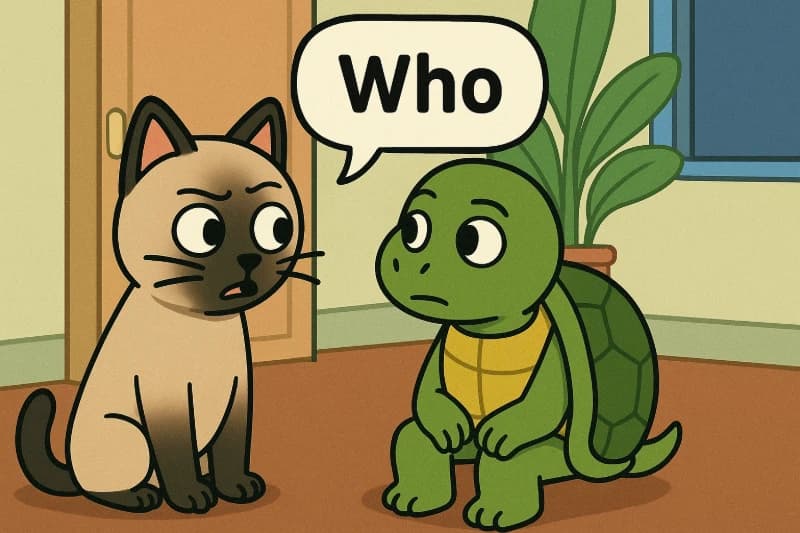 รูปบทความWh Question ภาษาอังกฤษ